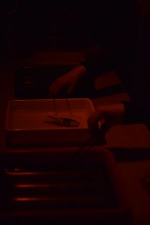 dni_otwarte026