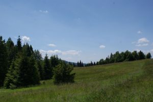 beskid_05