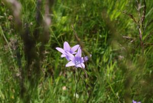 beskid_07