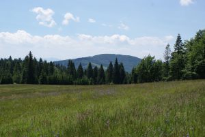 beskid_08