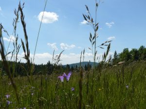 beskid_51