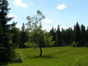 beskid_52