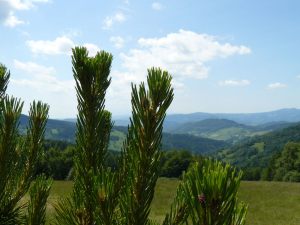 beskid_56