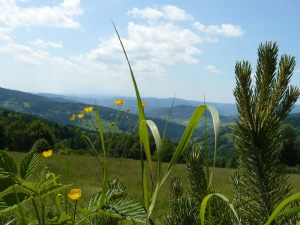 beskid_57