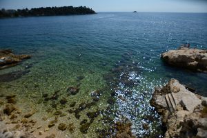 plener_cw_042