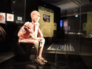 body_25