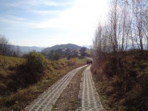 Rajd_79