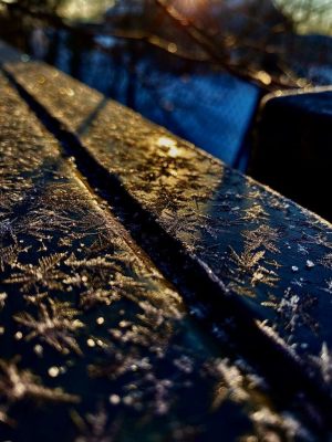 IMG_6899
