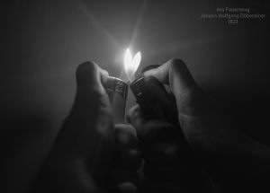 Wyn-14