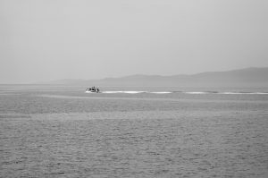PGr-068