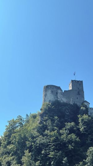 GenV4_0606_01