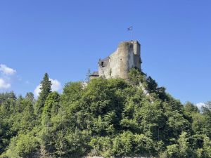 GenV4_0606_04
