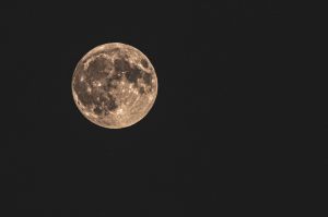 WyB_036