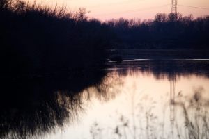 Fi_02