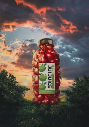 Fi_17