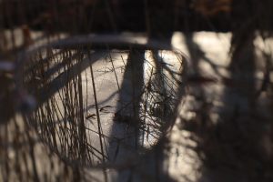 Fi_29