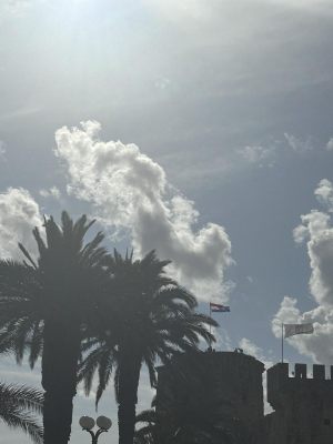 WCh_07