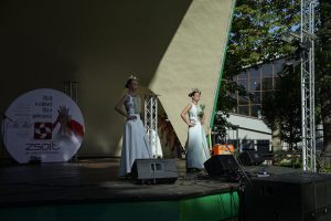 Amfq_012