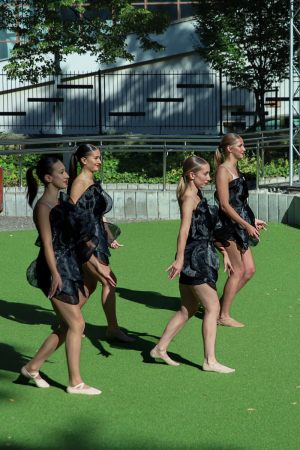 Amfq_053