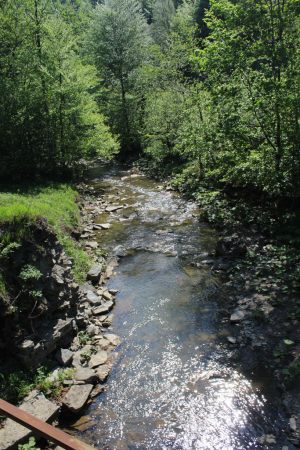 bieszczady_083