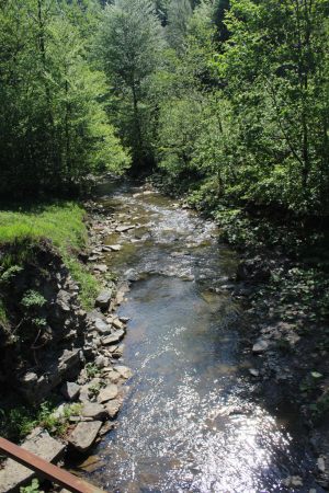 bieszczady_083