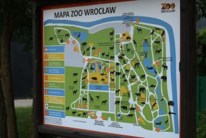wroclaw_137