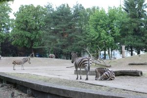 wroclaw_140
