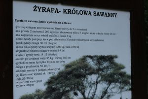 wroclaw_142