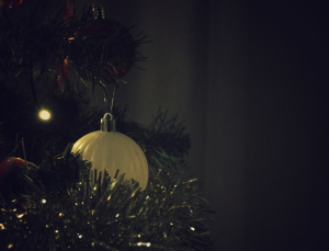 Fotografia miesiąca grudzień 2025 "Magia świątecznych detali"