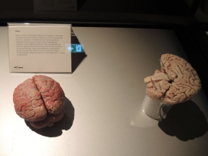 Body Worlds - wycieczka przedmiotowa IC i IIC