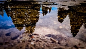 Fotografia miesiąca: maj 2021