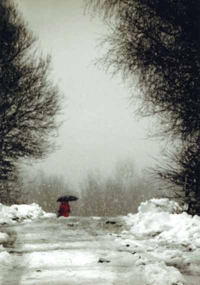 Wyniki konkursu „Fotografia miesiąca”– styczeń pt. „Zimowy sztafaż z akcentem kolorystycznym”