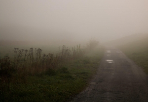 O wschodzie Słońca - Fotografia miesiąca - kwiecień