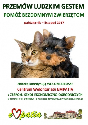 Przemów ludzkim gestem!