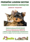 Przemów ludzkim gestem!