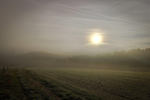 Fotografia miesiąca - październik 2022