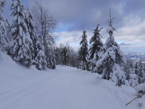 Rajd w Beskid Sądecki - Przehyba 11.12.2023