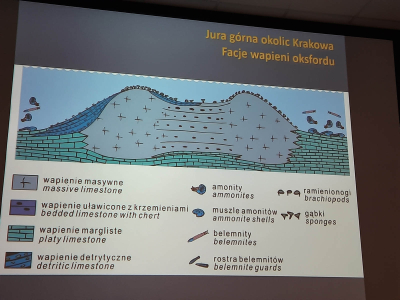Wycieczka geologiczno-geograficzna do Krakowa