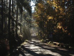 Wyniki konkursu „Fotografia miesiąca”– październik pt. „Najpiękniejszy poranek”