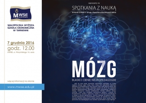 Badania mózgu - blaski i cienie neuroedukacji