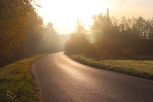Fotografia miesiąca październik 2019