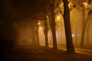Wyniki konkursu „Fotografia miesiąca” – listopad pt. „Tajemnicza mgła”